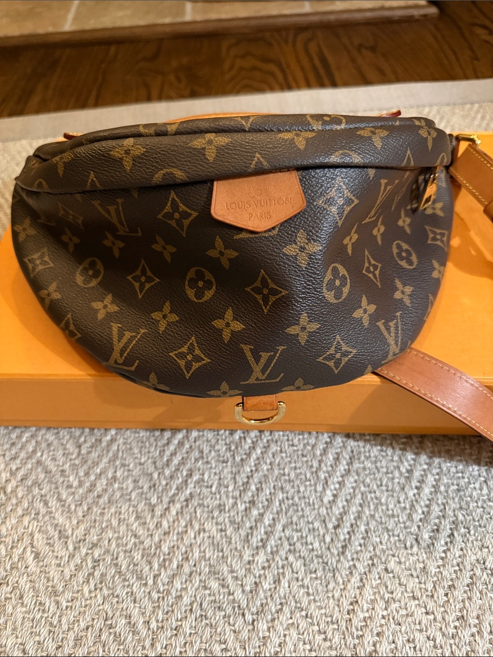 Louis Vuitton Monogram OG Bumbag in Brown and Tan